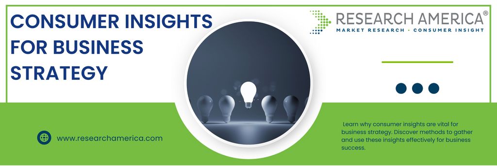 Consumer Insights for Business Strategy large